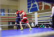 В мае в Увате пройдет Первенство Уральского федерального округа по боксу среди юношей